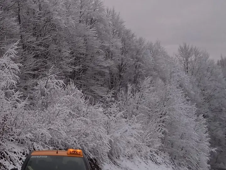AKKUŞ TAKSİ ZEKAYİ ŞAHİN