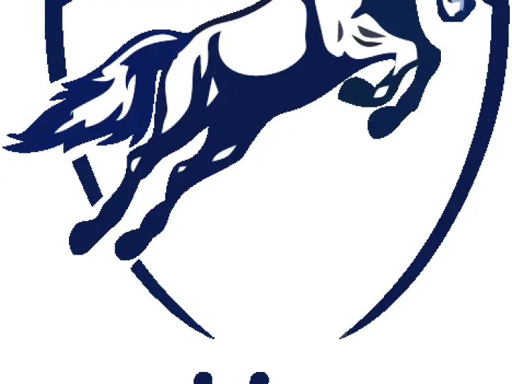 ALİ İNCE LOJİSTİK İSTİM