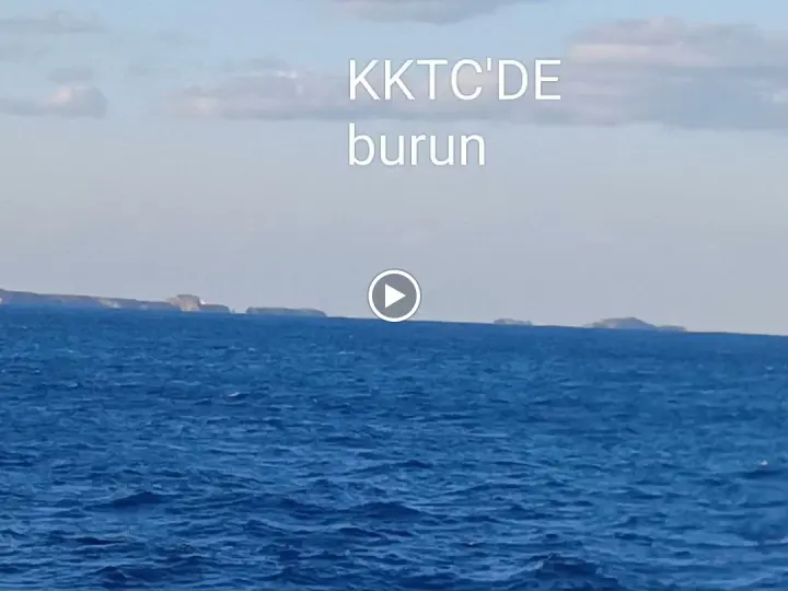 Alibeyli Lojistik