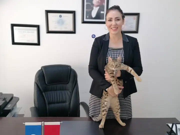 Allianz Sigorta - Seda Özcan Bizim Sigorta Acenteliği - Antalya