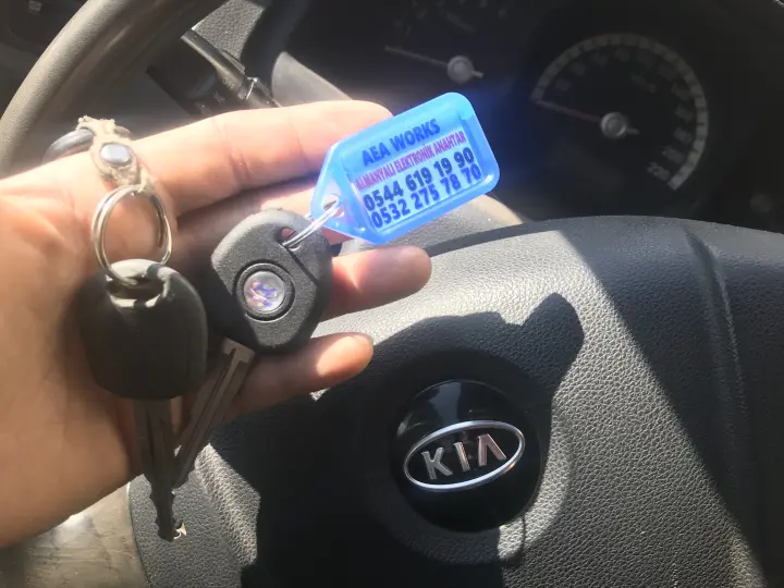 Almanyalı Elektronik Anahtar (AEA WORKS)