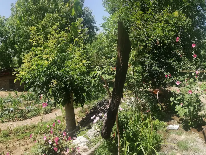 AlMİNA KAPALI OTOPARK