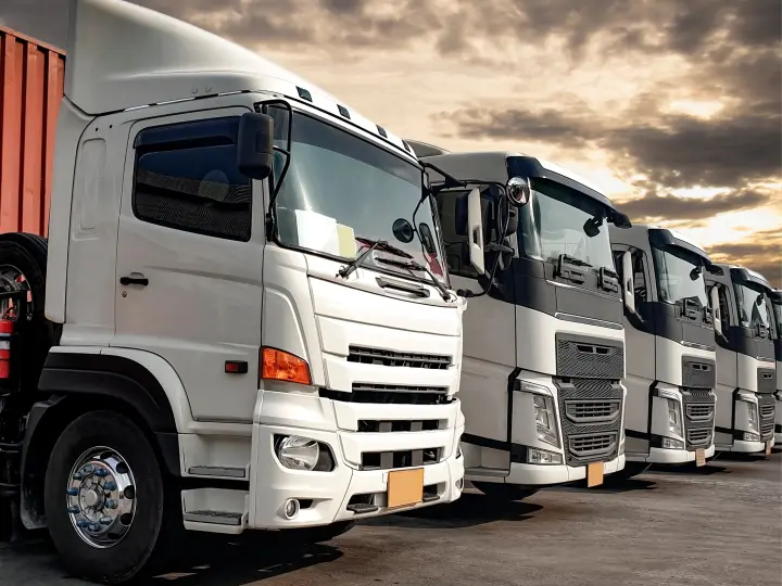 ALS CARGO - International Logistic & Beylikdüzü İç Nakliye Küçük Paket teslimat & doblo panılvan nakliye