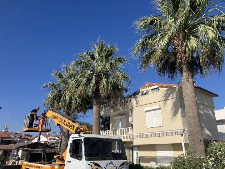 Altıntaş sepetli platform