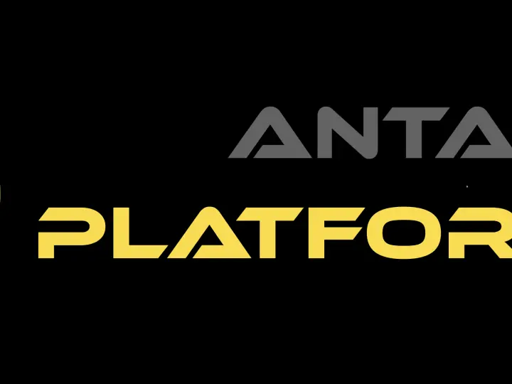 Antalya Platform Vinç