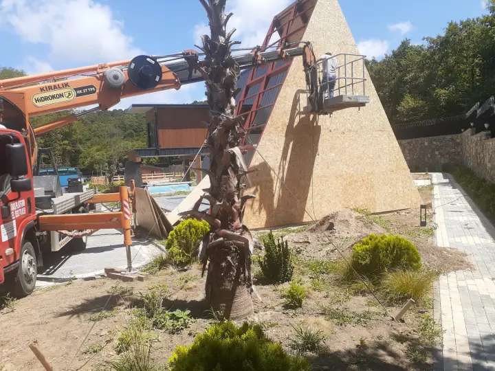 Aras Platform Vinç Kiralama