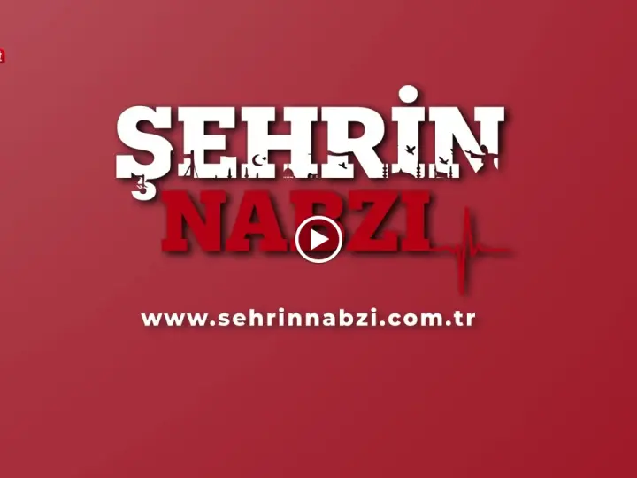 Ardaca Group Sigorta Aracılık Hizmetleri Ltd Şti