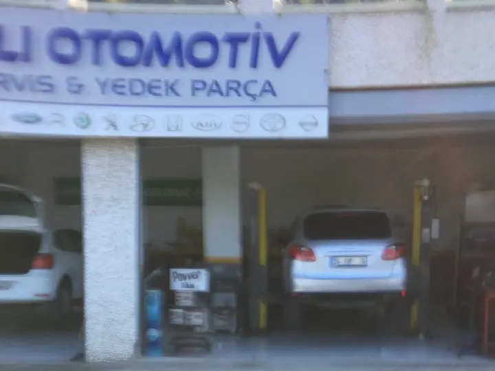 ARICI OTO FULL SERVİS