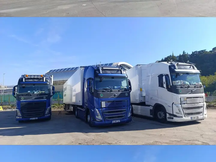ARMIS TRANSPORT