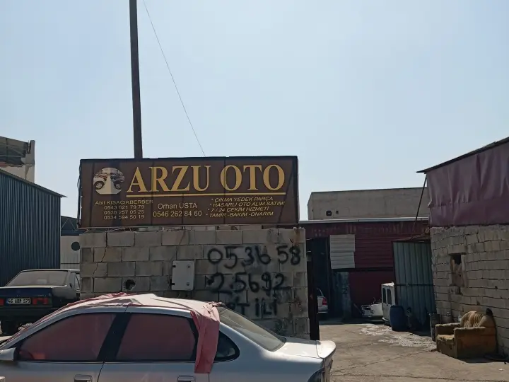 Arzu Oto