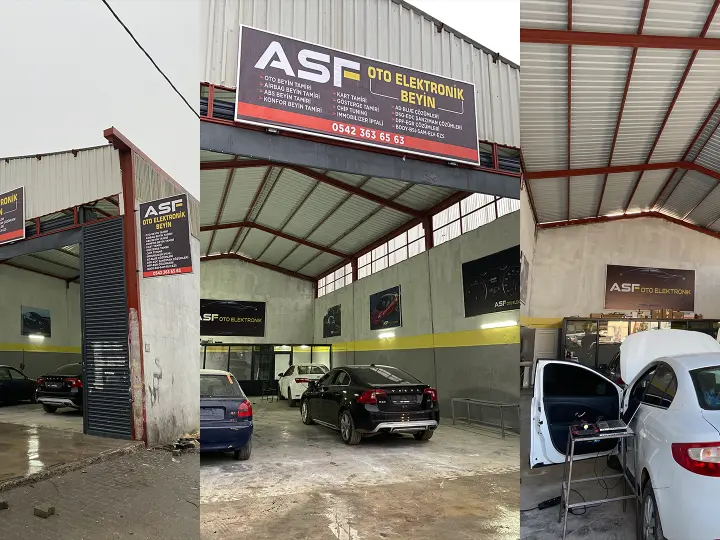 ASF Oto Elektronik & Beyin