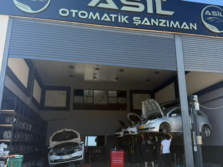 Asil Otomatik Şanzıman Didim
