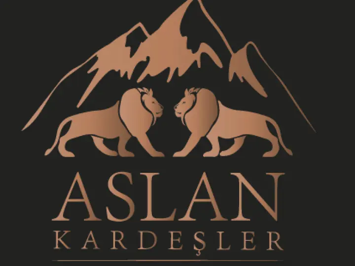 Aslan Kardeşler Opet