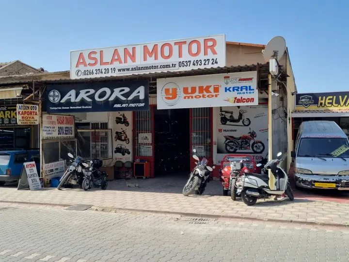 Aslan Motor