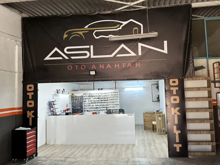 Aslan oto anahtar