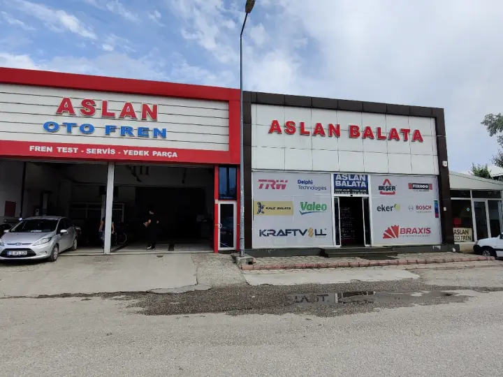 Aslan Oto Fren
