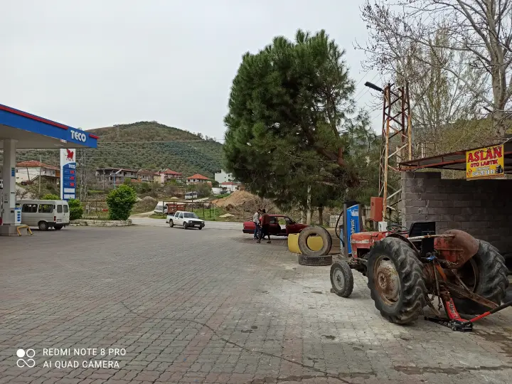 Aslan oto lastik