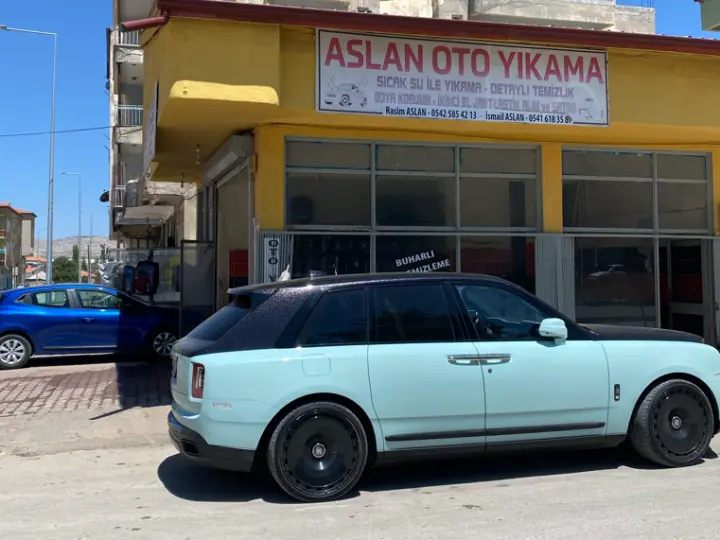 Aslan oto yıkama
