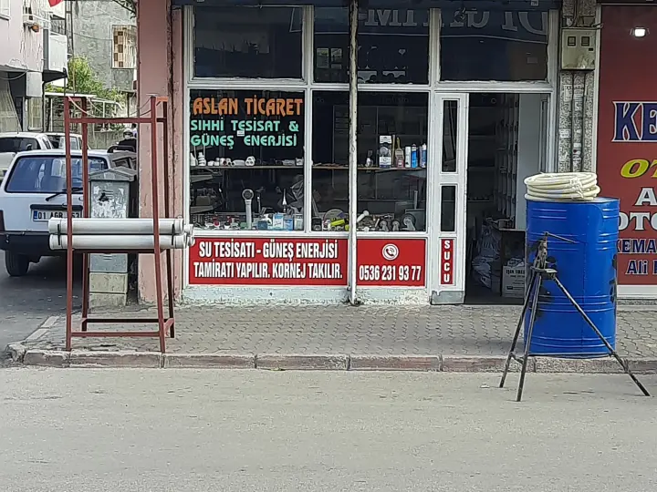 Aslan Ticaret