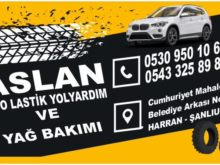 Aslan yol yardımı