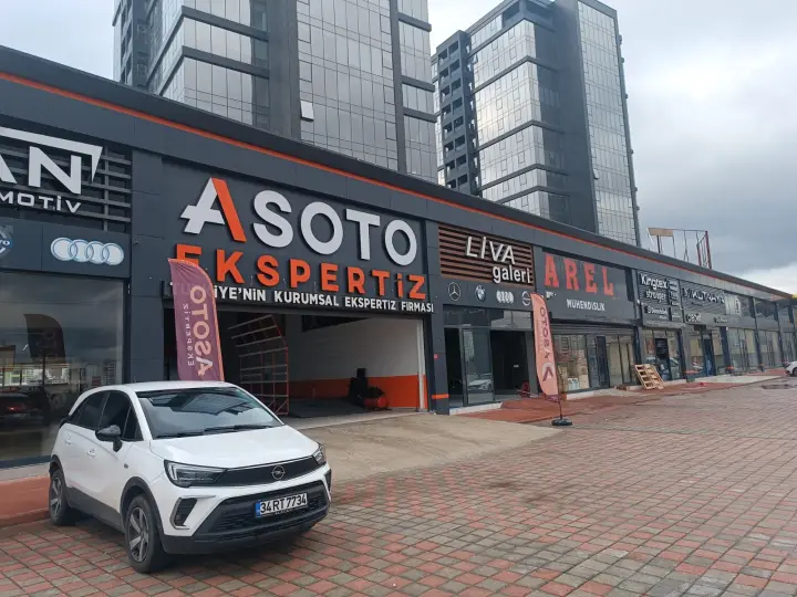 Asoto Ekspertiz