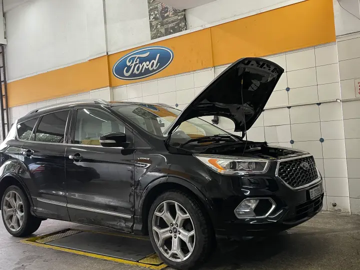 Asya Ford Servisi