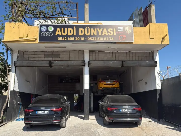 Audi Dünyası