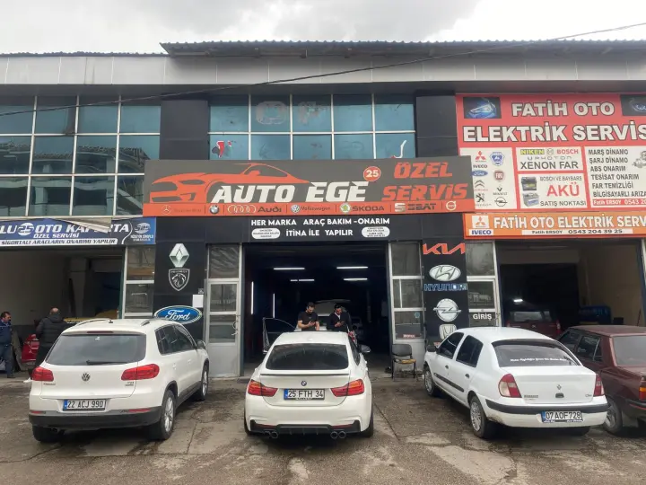 AUTO EGE