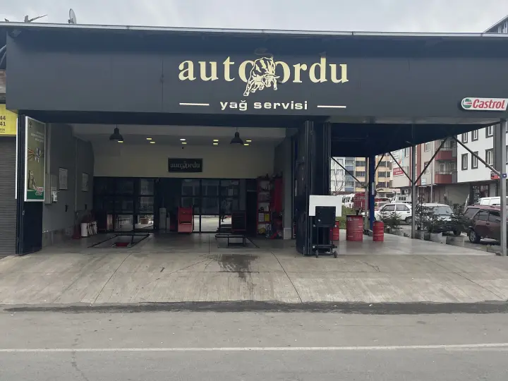 Auto Ordu