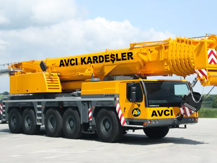AVCI KARDEŞLER