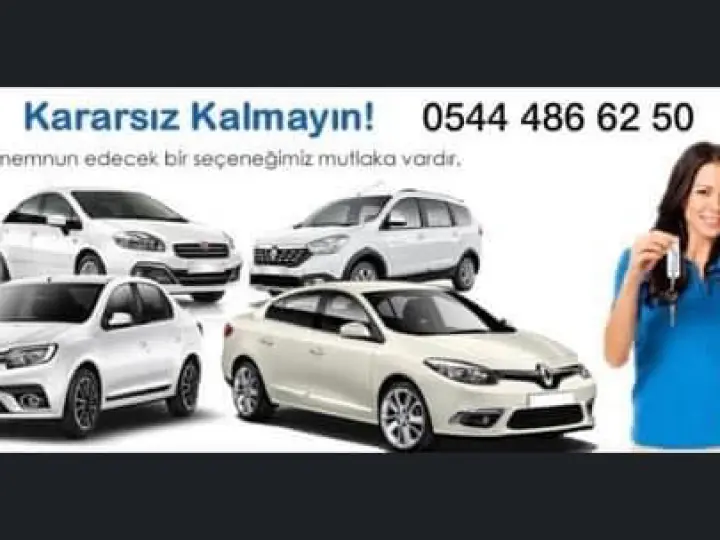 Avis - Cizre