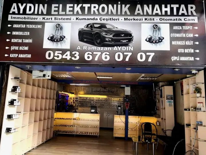 Aydin Elektronik Anahtar
