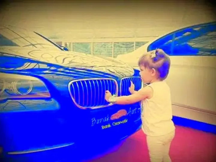 AYDIN OTO MOTOR TAMİR SERVİSİ ALAPLI
