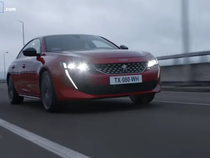 Aydın Oto (özel) Peugeot Citroen servis