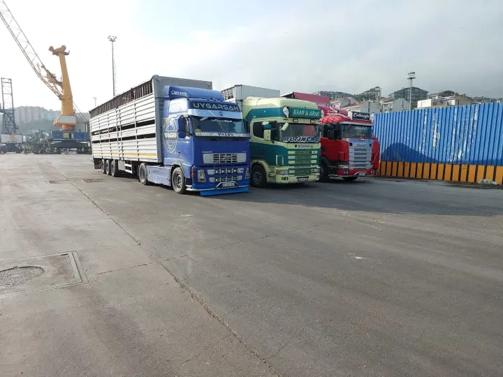 AYDİN UYGARŞAH NAKLİYAT&KOMİSYON canlı hayvan taşımacılığı