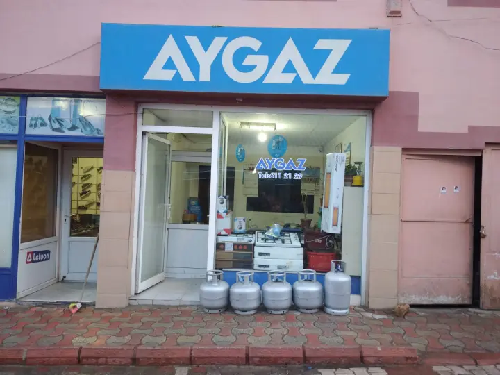Aykargo Artova