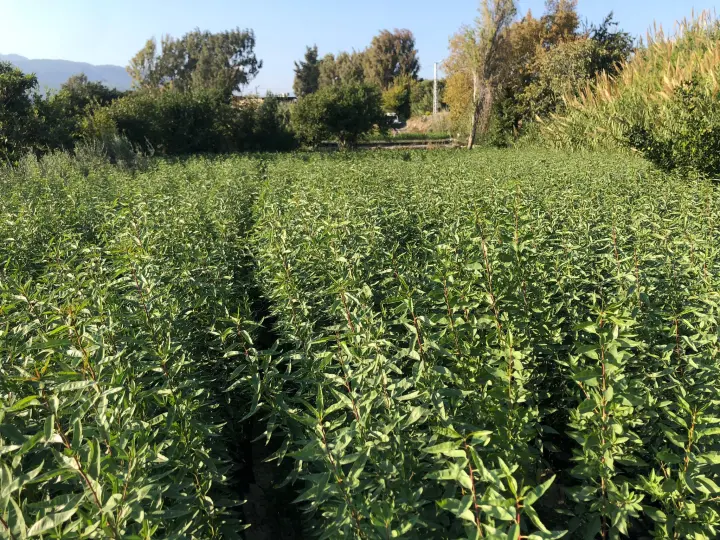 Bakımcı Nakliyat - Bakımcı Group