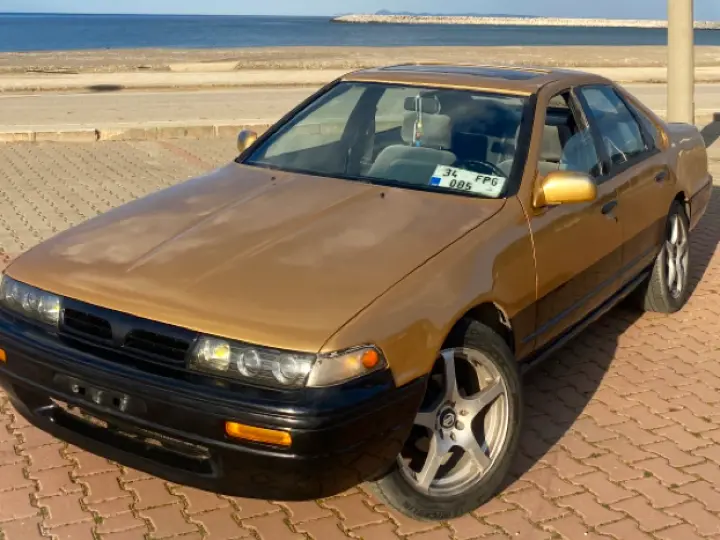 BATMAZ OTO BOYA KAPORTA