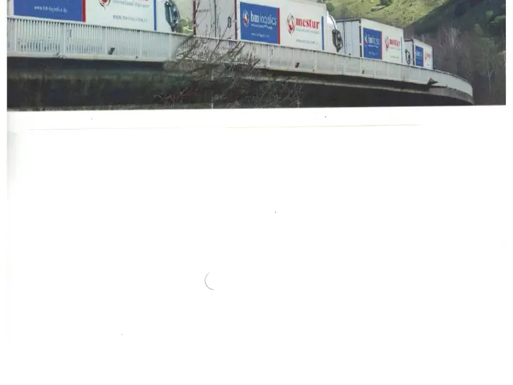 BAYRI ULUSLARARASI TAŞIMACILIK