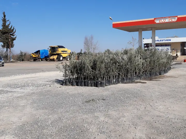 BIRLESTIREN PETROL