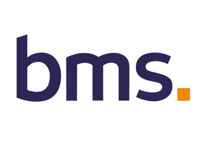 BMS Group Türkiye