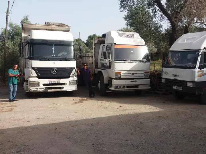 Bodrum Rönesans Nakliyat