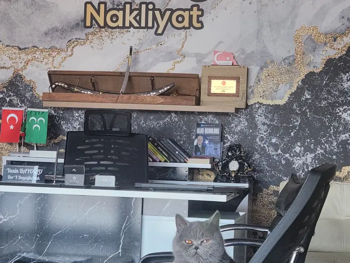 BOR Y.BAYOĞLUNAKLİYAT