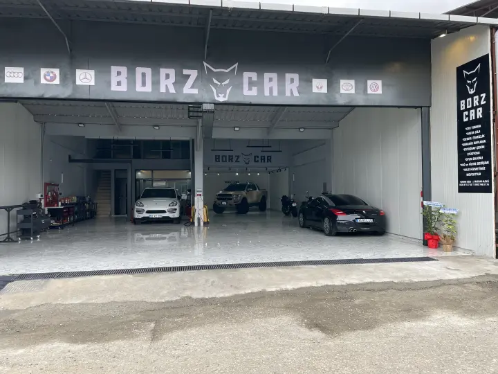 BORZ CAR