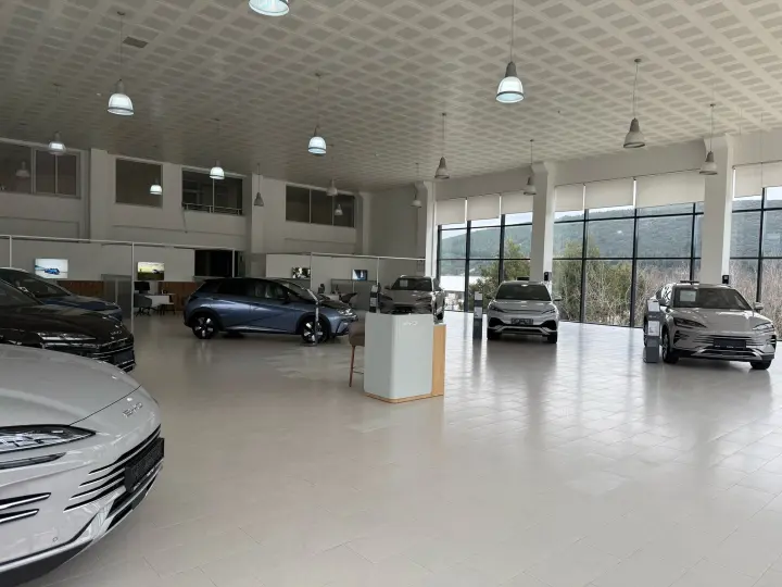 BYD YATU
