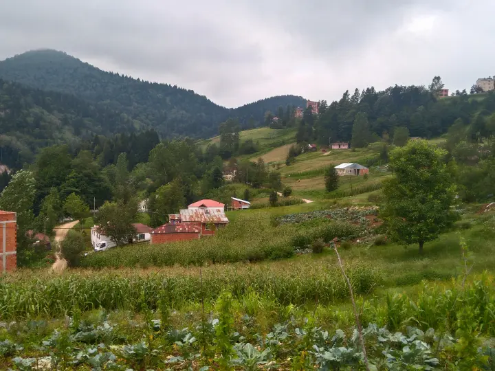 Çayırbağı Trabzon