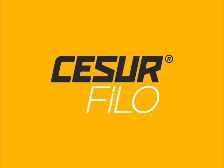 Cesur Filo