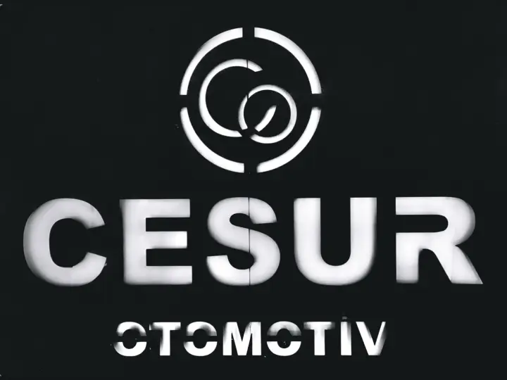 Cesur İş Makina Otomotiv