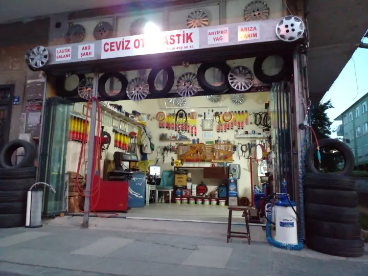 CEVİZ OTO LASTİK