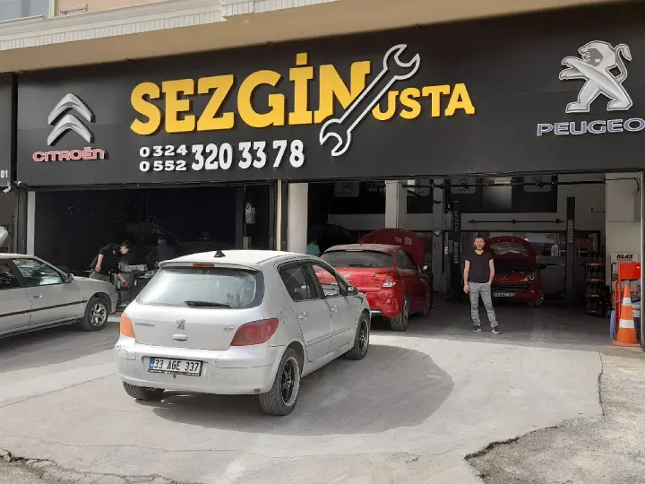CITROEN VE PEUGEOT ÖZEL SERVISI MERSİN